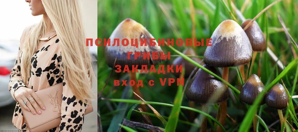 дмт Володарск